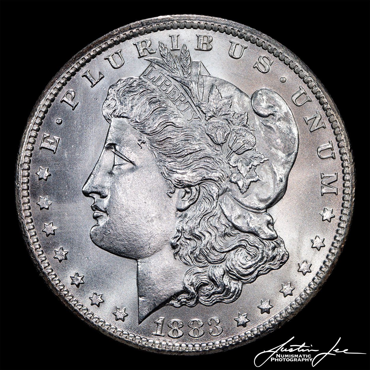 1883-CC-Morgan-Dollar-Obverse.jpg
